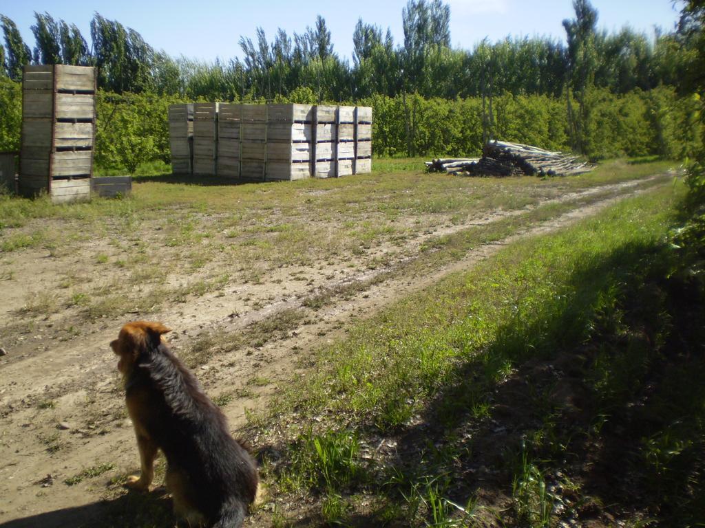 Complejo Solar Apart Villa Regina Zewnętrze zdjęcie
